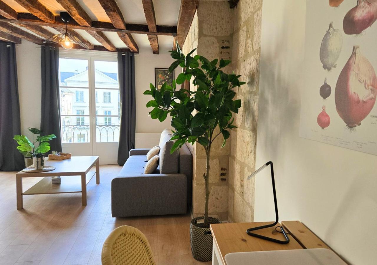 Apartment L'immersion Tourangelle