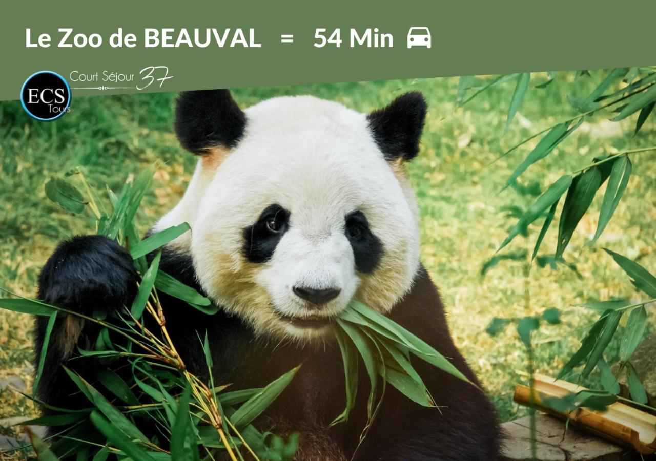L'immersion Tourangelle Tours