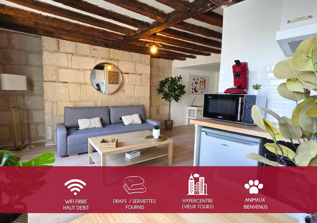 L'immersion Tourangelle Apartment